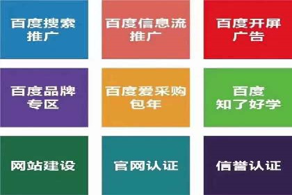 某品牌通过SEM优化公司实现品牌曝光飞跃
